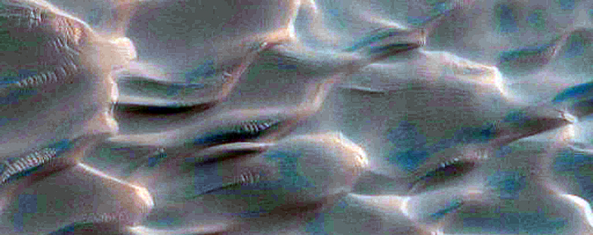 Dunes with Bright-Dark-Bright Bands Dubbed Buzzel