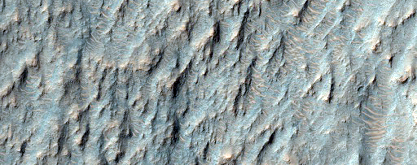 Phyllosilicates and Fluvial Features North of Hashir Crater