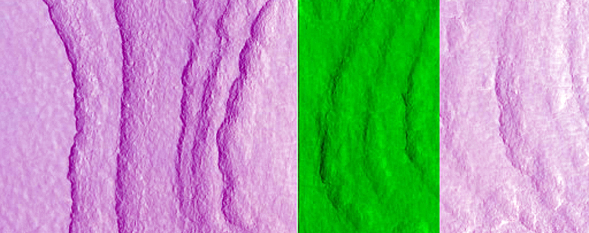 Layers in Crater in Protonilus Mensae