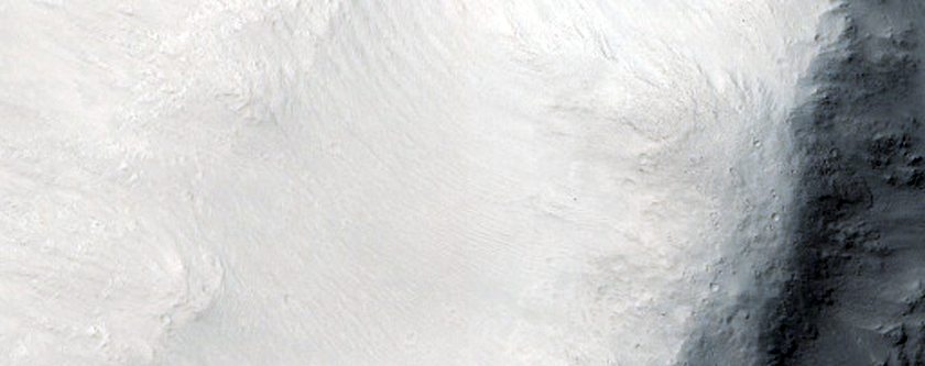 Proposed Site for Future Exploration in Cerberus Palus