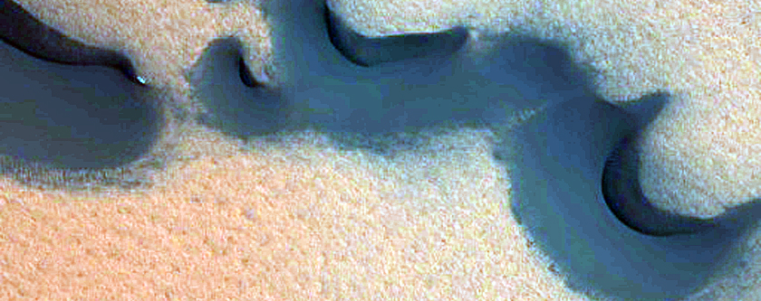 Dunes with Large Gullies
