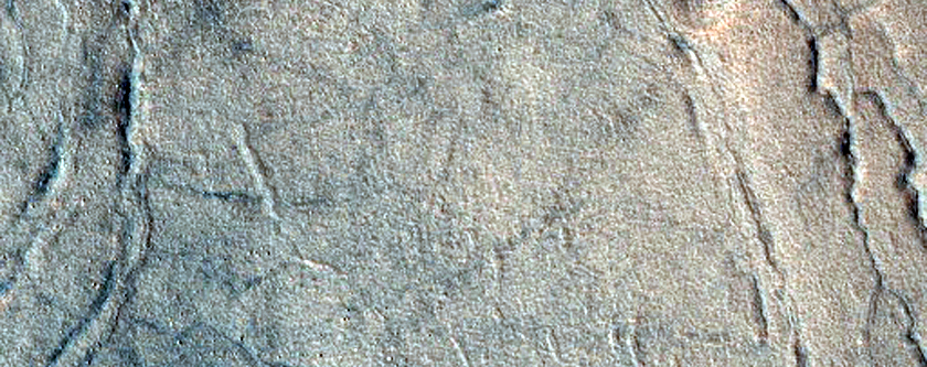 Gully Monitoring
