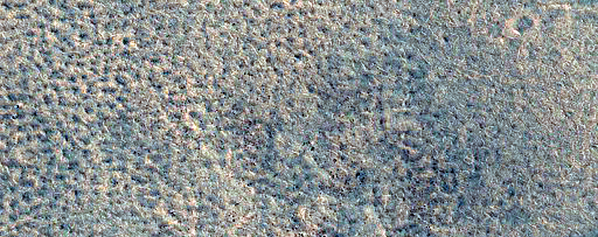 Northern Plains