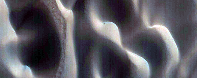 Dune Monitoring