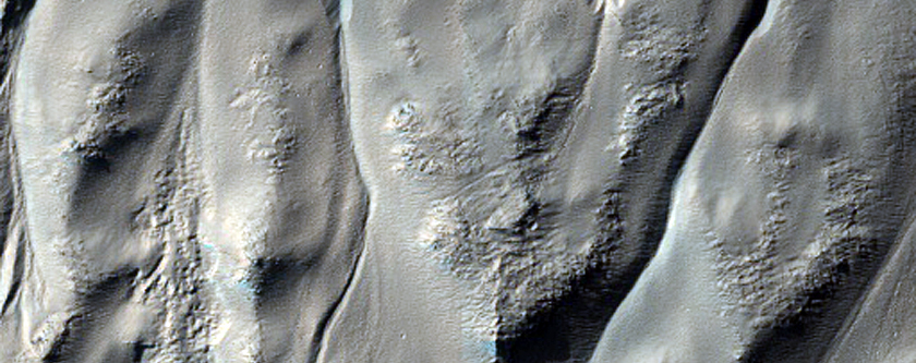 Gully Monitoring