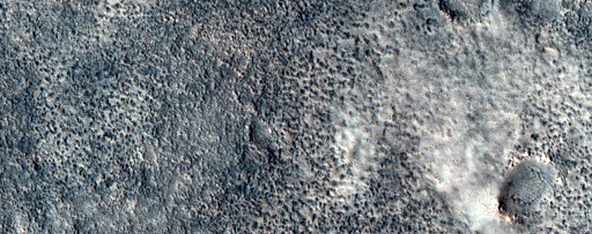 Periglacial Surface Sample