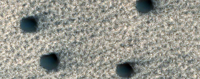 Search for Secondary Craters from Lonar Crater