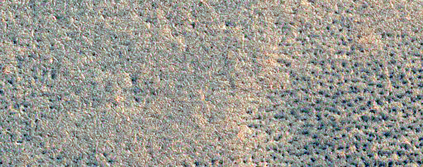 Northern Plains