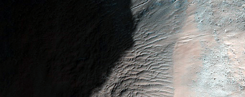 Gully Monitoring