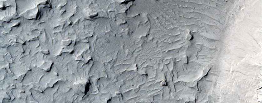 Possible Phyllosilicates in the Medusae Fossae Formation
