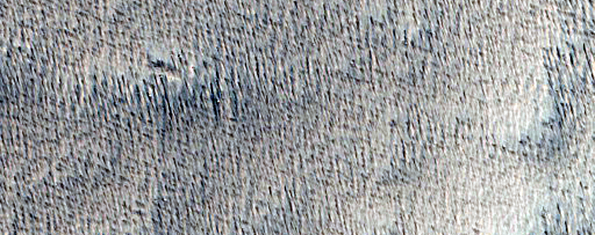 Flow with Wide Leveed Channel
