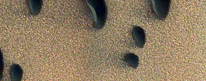 Dune Migration