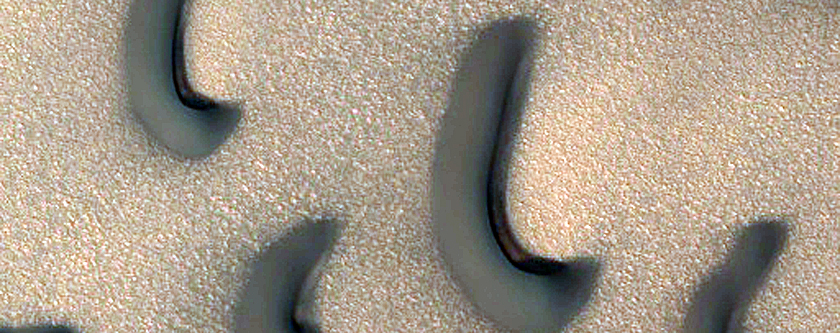 Dune Morphometry