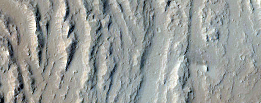 Streamlined Features in Olympica Fossae