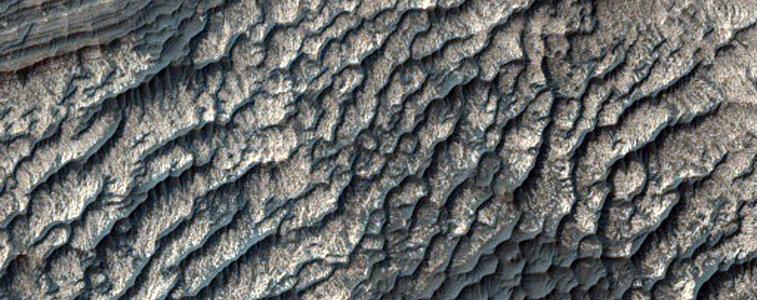 Survey Layering and Faulting in Layered Deposits in Melas Chasma