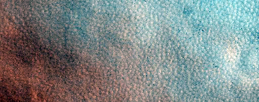 Mottled Region