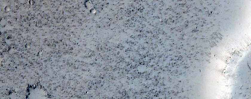 Terrain Sample