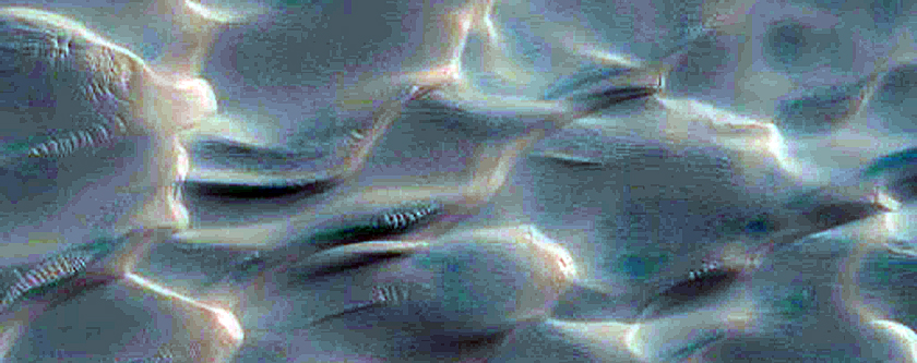 Dunes with Bright-Dark-Bright Bands Dubbed Buzzel