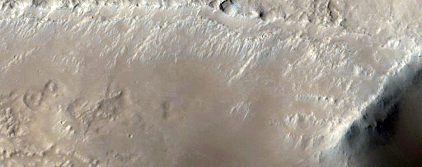 Looking for Gullies