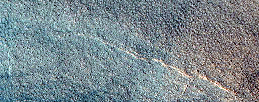 Gullied Crater Wall with Polygons