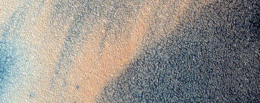 Dune Migration