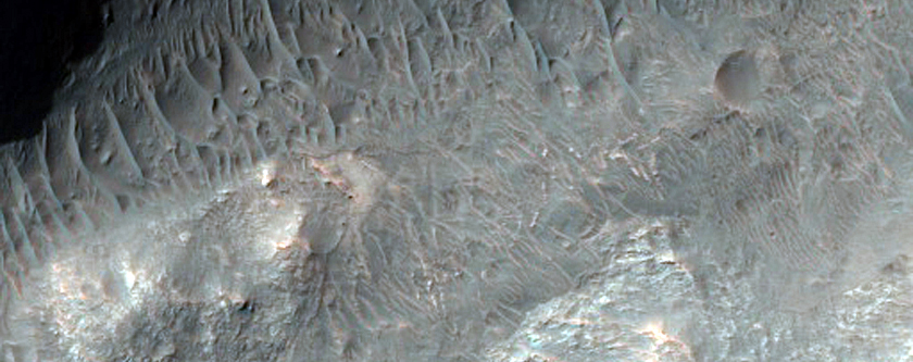Light-Toned Layered Deposits in Ladon Valles