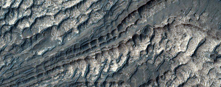 Survey Layering and Faulting in Layered Deposits in Melas Chasma
