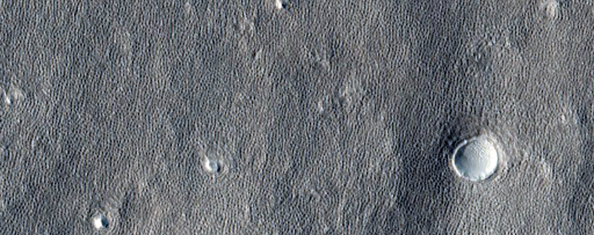 Expanded Craters on Northern Plains