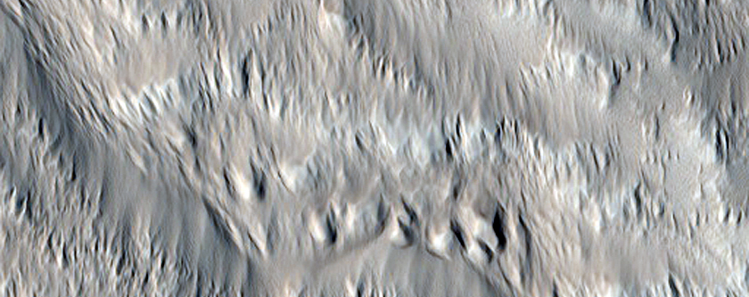 Valleys on the Western Flank of Hecates Tholus