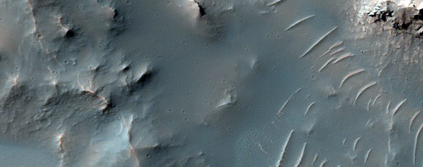 Central Structure of a Large Crater