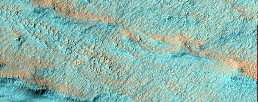 Volatiles and Gullies in Wirtz Crater