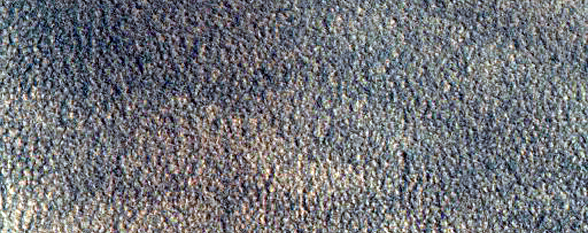 Gully Monitoring
