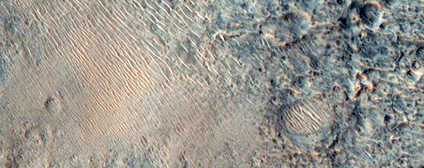 Phyllosilicates in Libya Montes Region