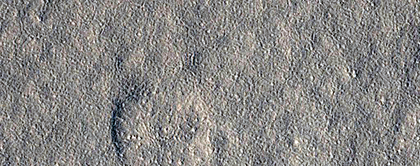 Field of Shallow Depressions