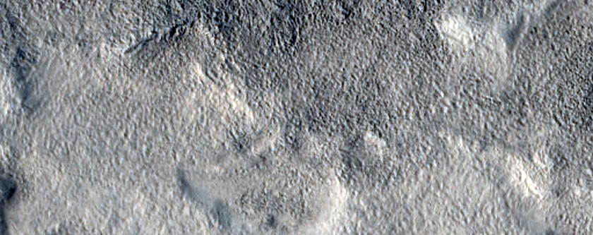 Utopia Planitia Terrain
