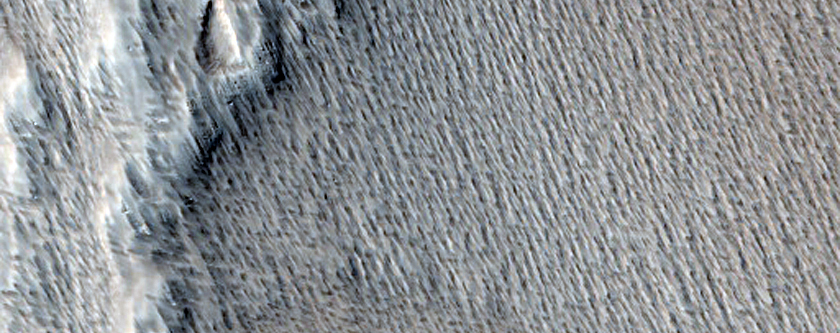Flow Lobe Margin with Ridged Surface in Northern Daedalia Planum