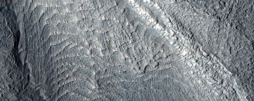 Flows on Mesa Wall in Protonilus Mensae