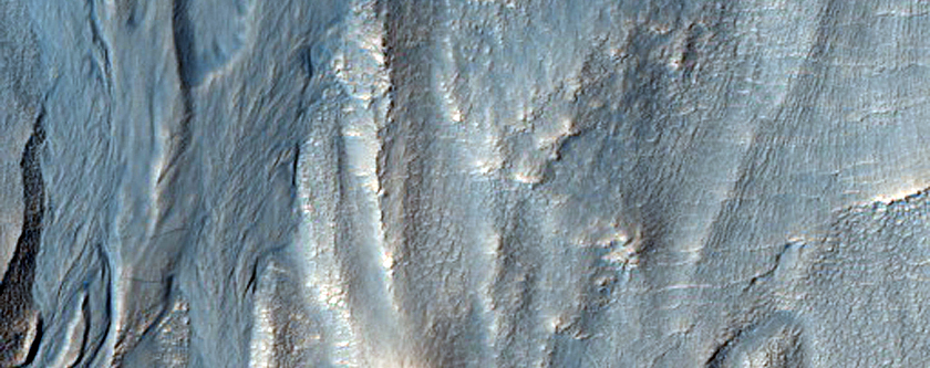 Gullies in Northern Mid-Latitude Crater