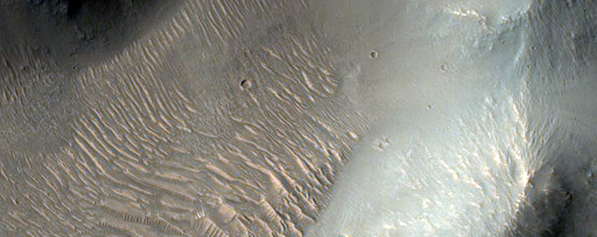Central Peak of an Impact Crater