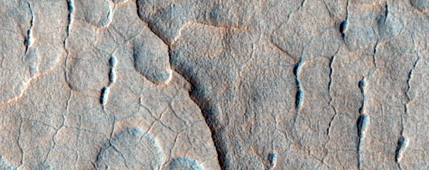 Scalloped Depressions in Utopia Planitia