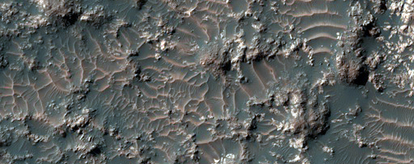 Exposed Linear Ridges of Light-Toned Material in Floor of Crater