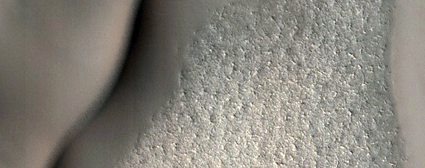 Dunes on Cement Substrate in Summer