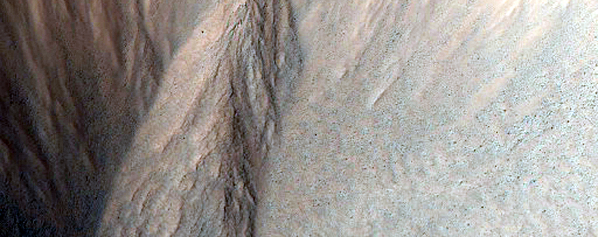 Gully Monitoring