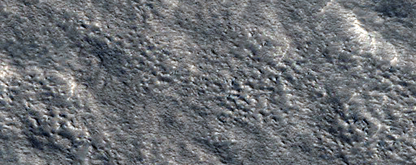 Northern Plains