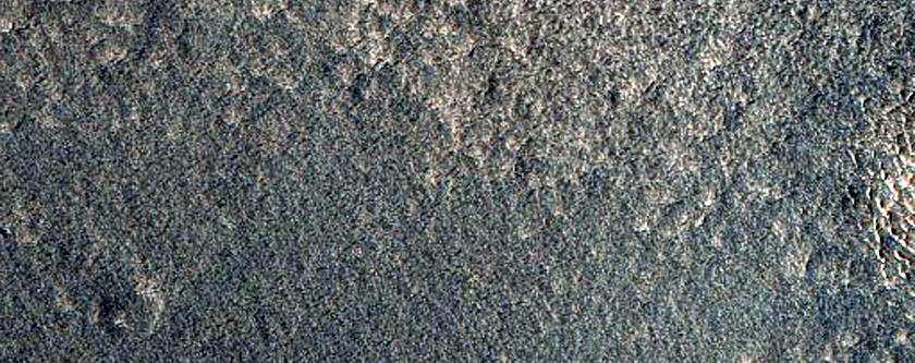 Domes in Arcadia Planitia