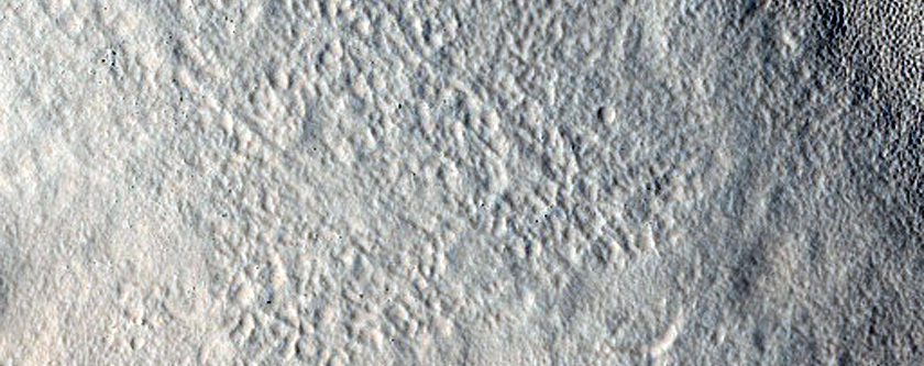 Scallop and Mounds