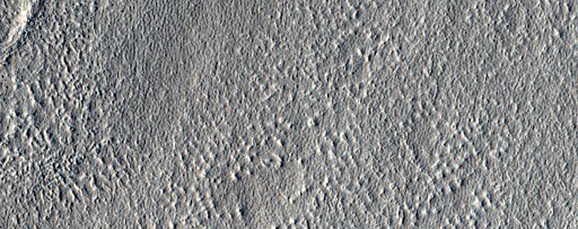 Impact Monitoring in Arcadia Planitia