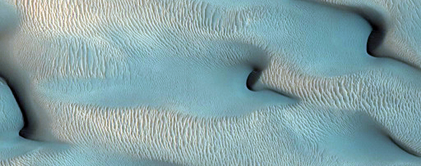 Monitoring Lyot Crater Dark Dune Field