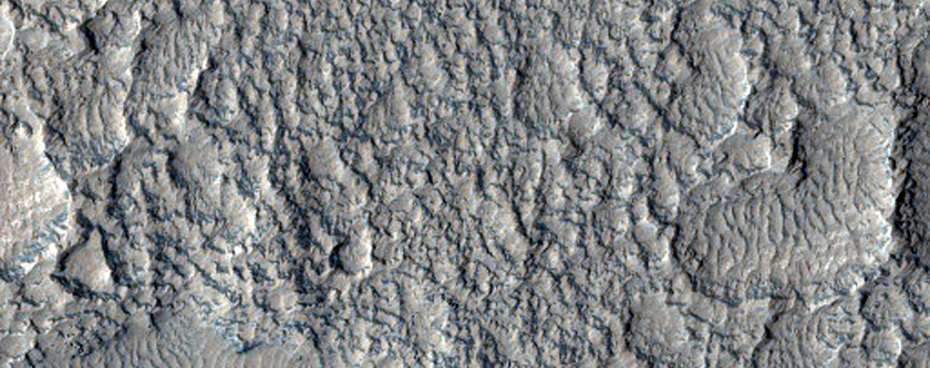 Craters in Arcadia Planitia
