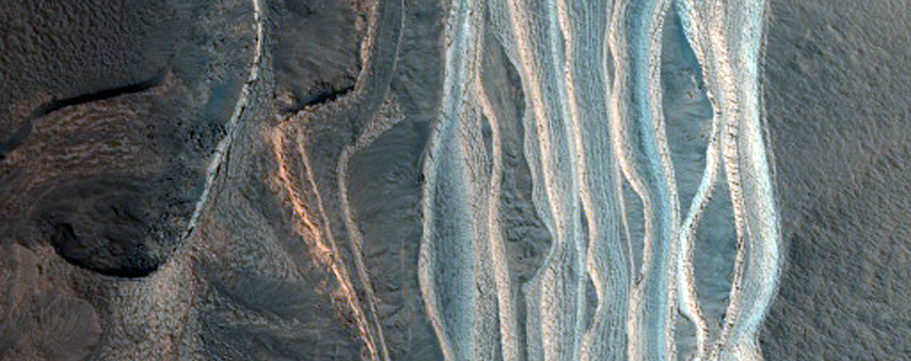 Inter-Annual Monitoring of Chasma Boreale Interior Scarp